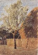 John linnell, Study of a Tree